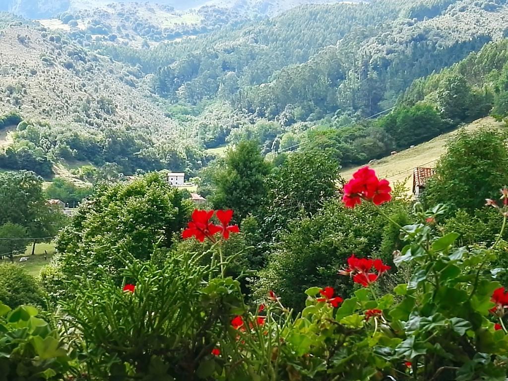 Finca Artienza Рамалес-де-ла-Виктория Экстерьер фото