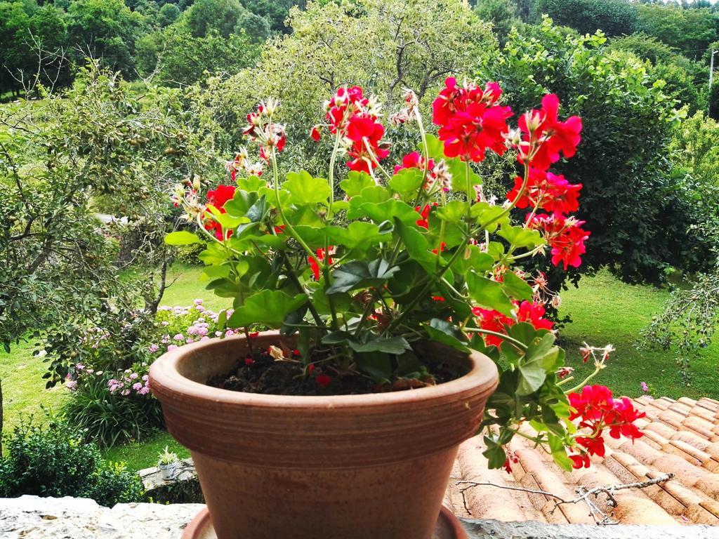 Finca Artienza Рамалес-де-ла-Виктория Экстерьер фото